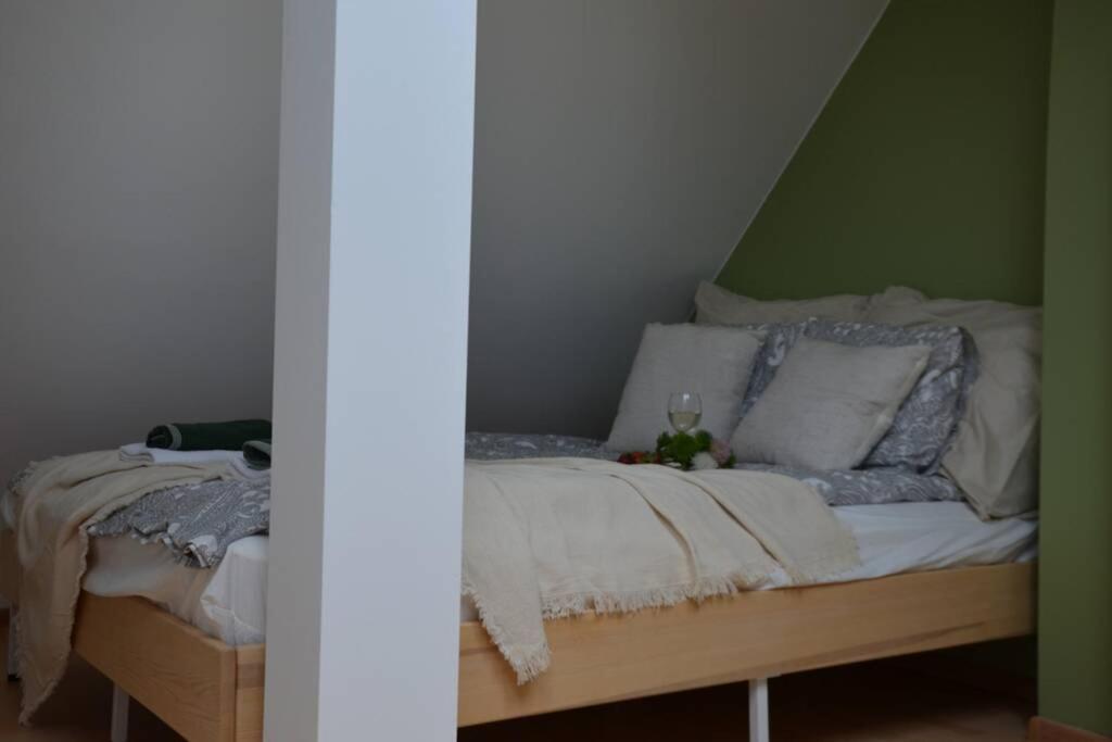 Ines Apartament Two Levels 105M2 In The Old Town Wi-Fi, Olsztyn  Exterior photo